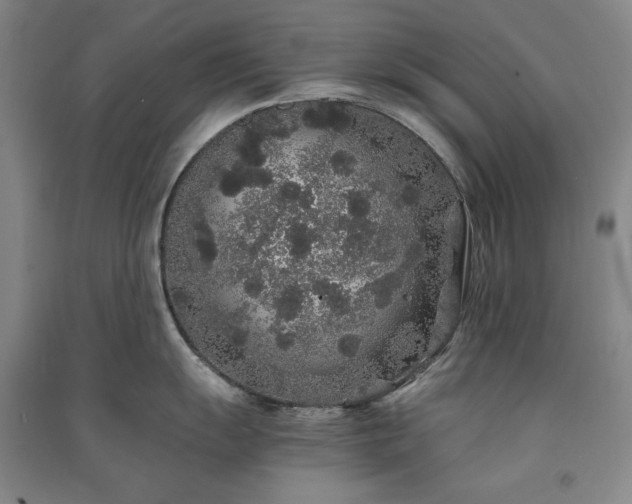 X0000091341055200708171407