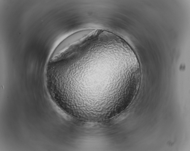 X0000091341056200708171407