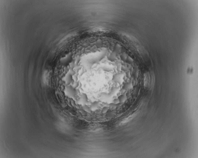 X0000091341059200708171406