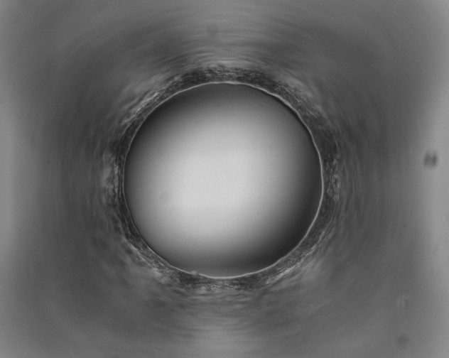 X0000091341061200708171406