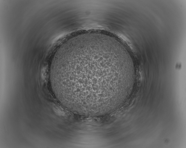 X0000091341063200708171406