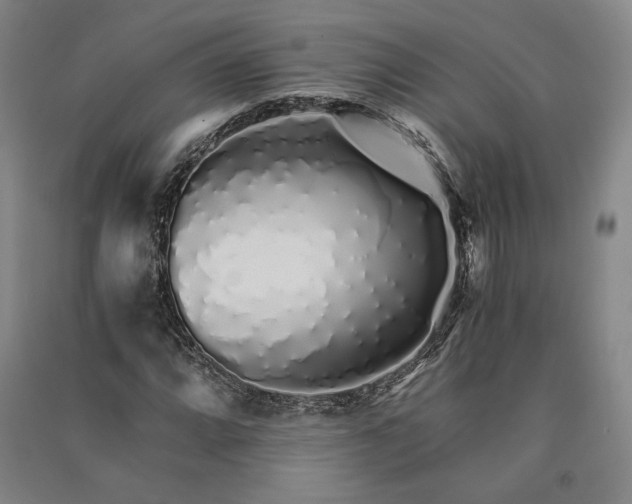 X0000091341064200708171406