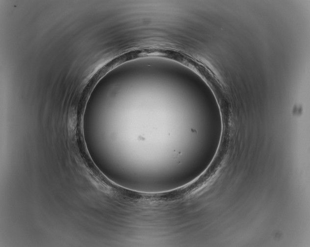 X0000091341065200708171406