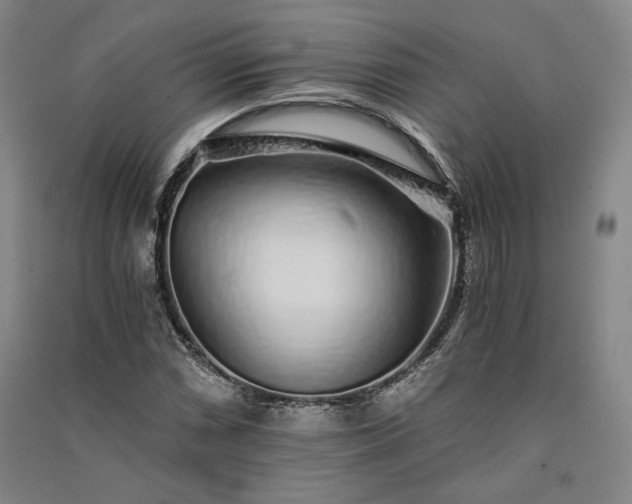 X0000091341066200708171406