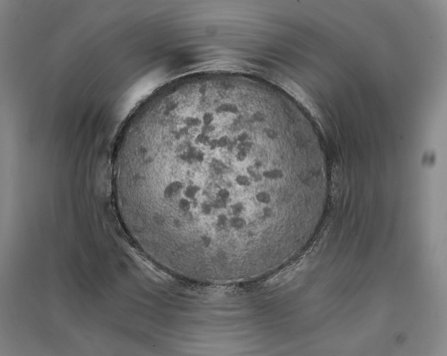 X0000091341067200708171406