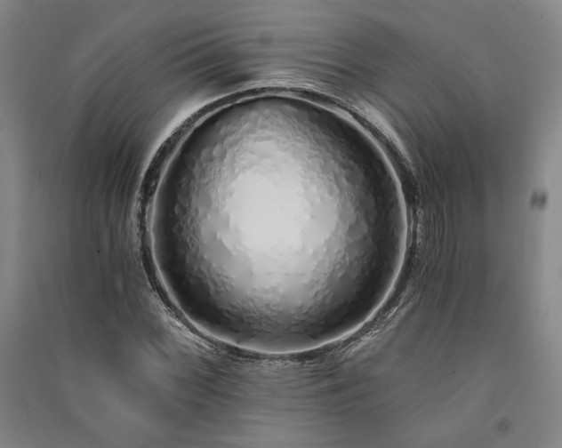 X0000091341068200708171406