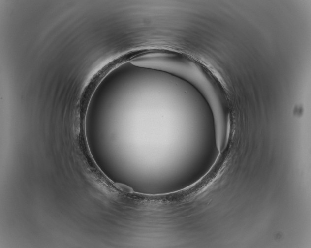 X0000091341069200708171406