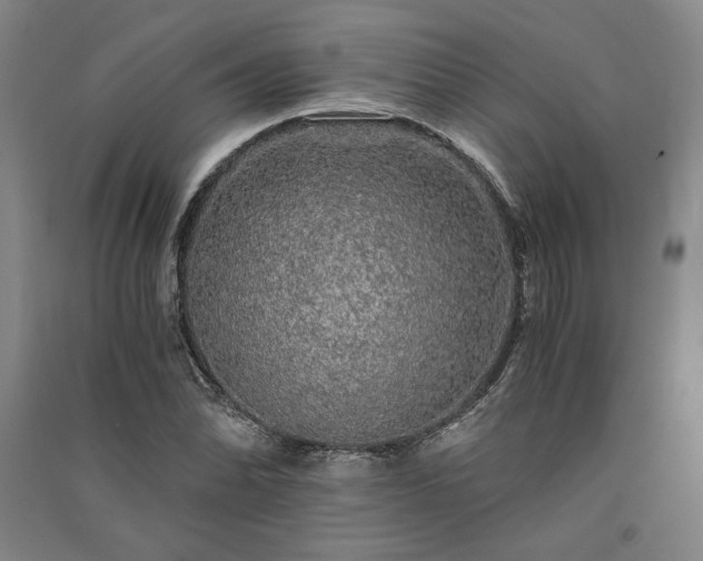 X0000091341070200708171406