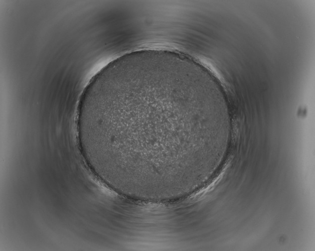 X0000091341071200708171406