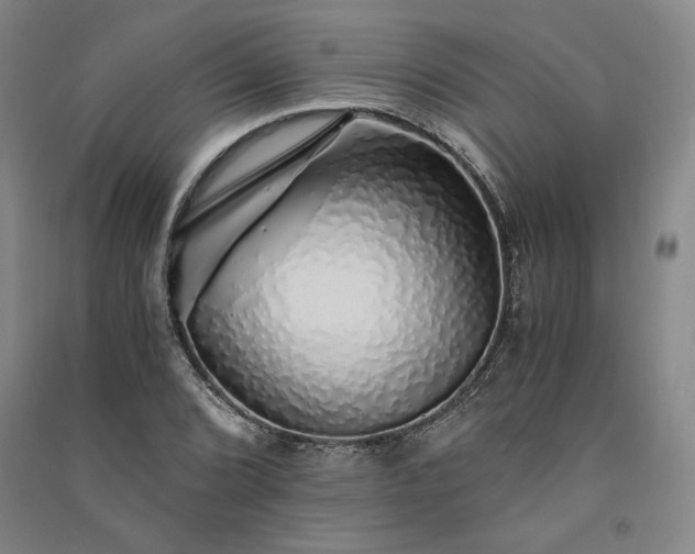 X0000091341072200708171406