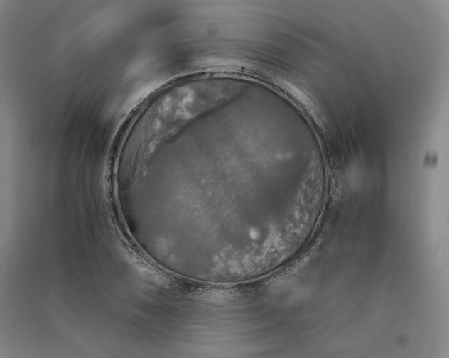 X0000091341074200708171406