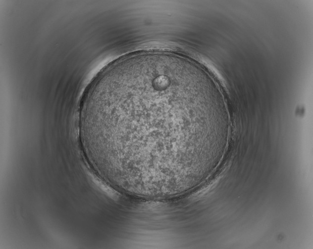 X0000091341075200708171406