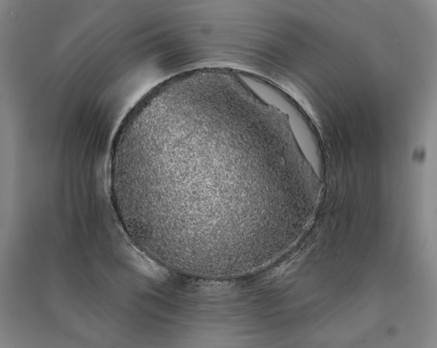 X0000091341076200708171406