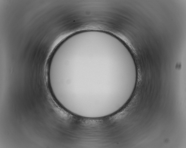 X0000091341078200708171406