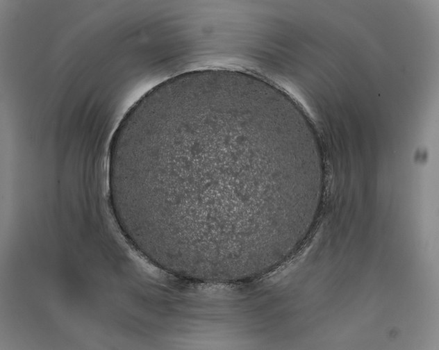 X0000091341079200708171406