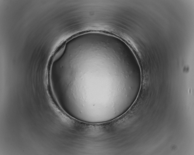 X0000091341080200708171406