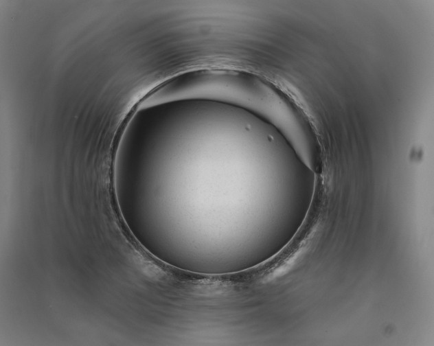 X0000091341081200708171406