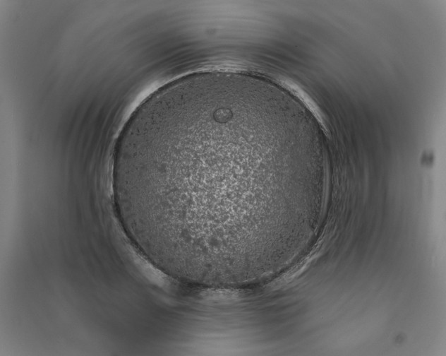 X0000091341083200708171406