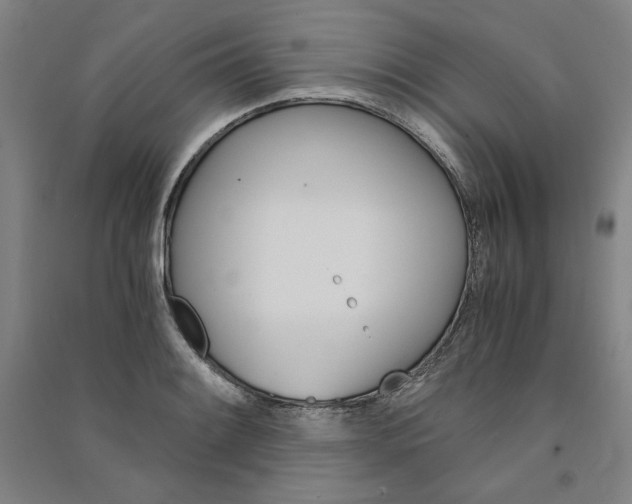 X0000091341084200708171406