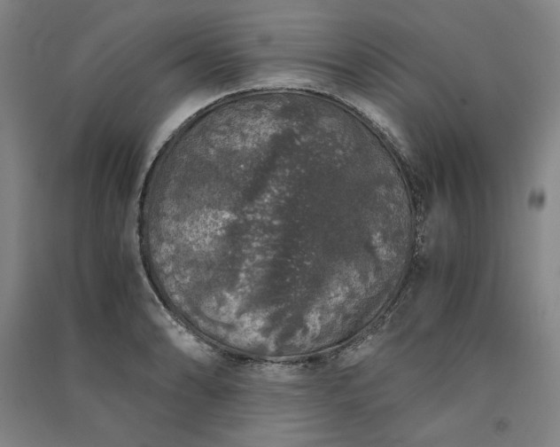 X0000091341086200708171406