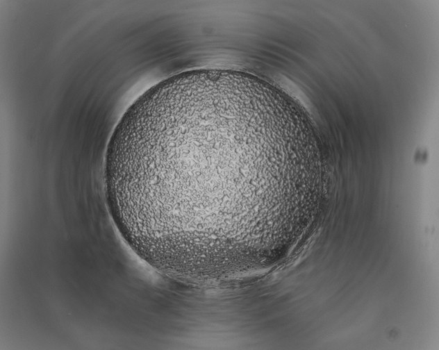 X0000091341087200708171406