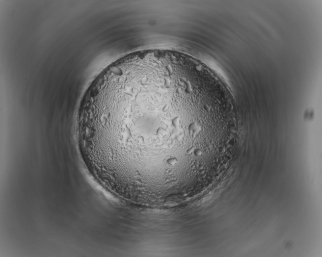 X0000091341088200708171406