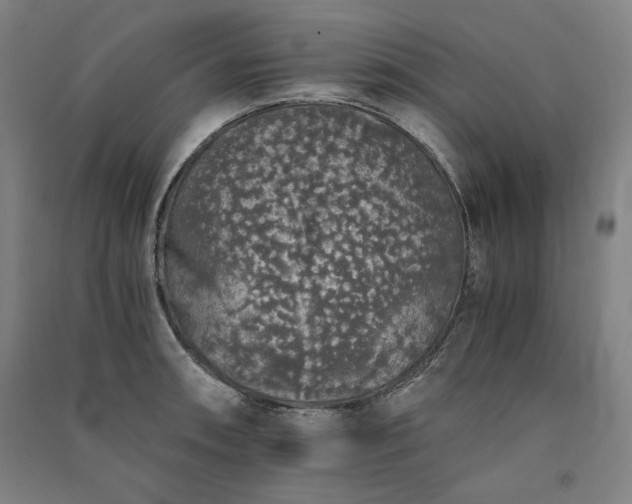 X0000091341090200708171406