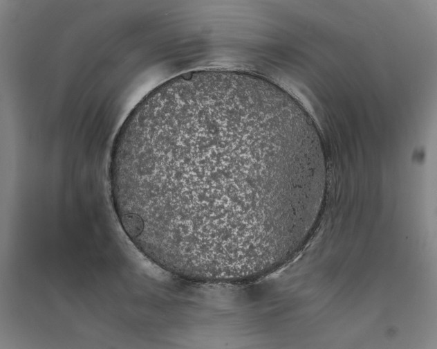 X0000091341091200708171406