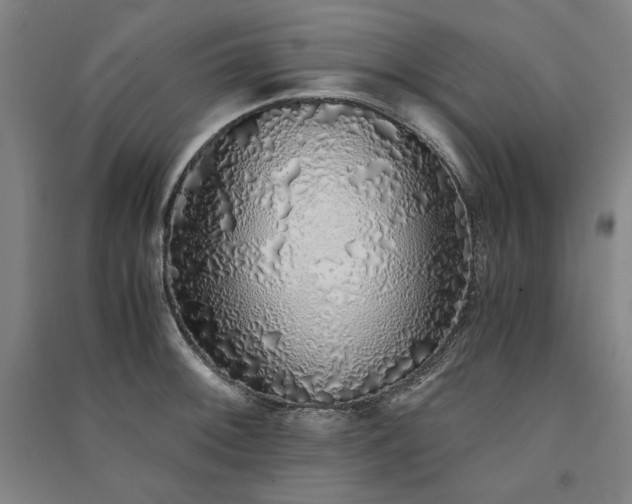 X0000091341092200708171406