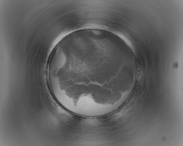 X0000091341094200708171406