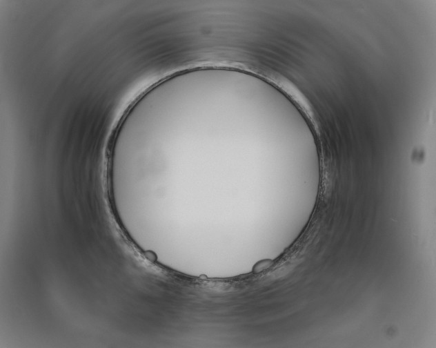 X0000091341096200708171406