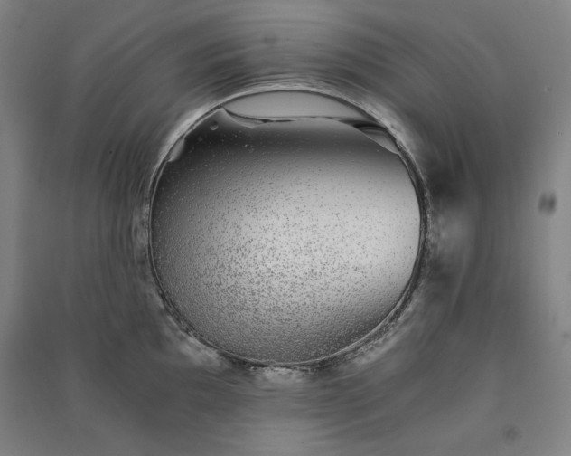 X0000091341097200708171406