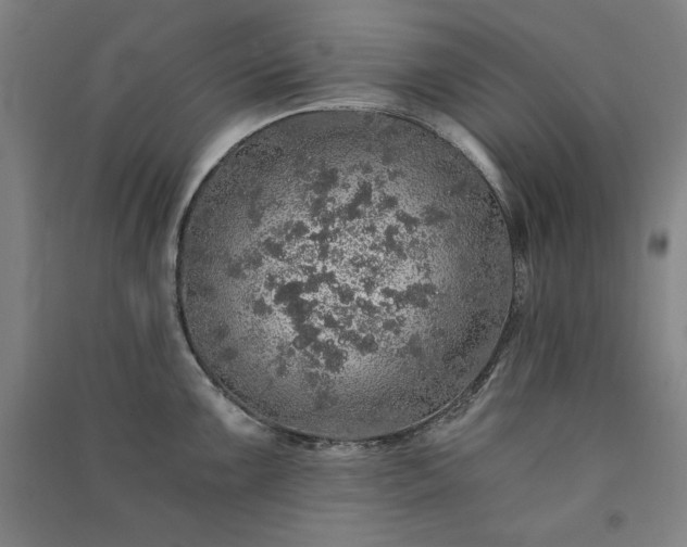 X0000091341099200708171406