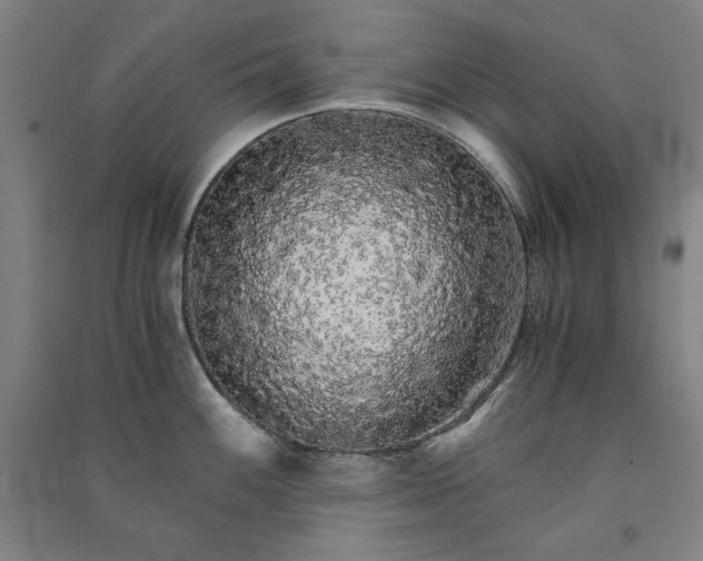 X0000091341100200708171406