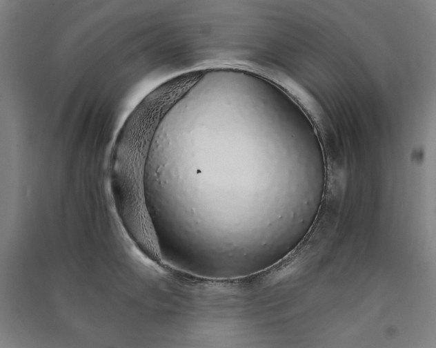 X0000091341102200708171406