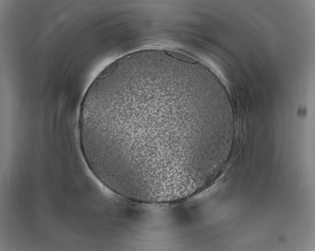 X0000091341103200708171406