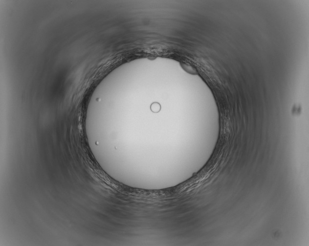 X0000091341106200708171405