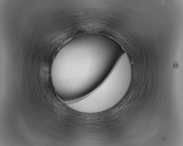 X0000091341108200708171405