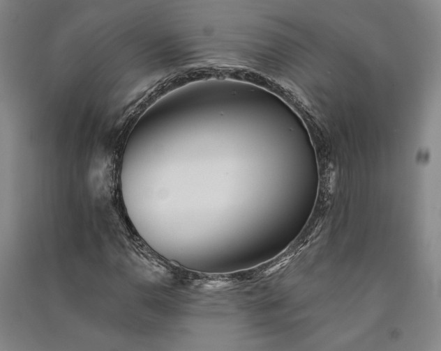 X0000091341110200708171405