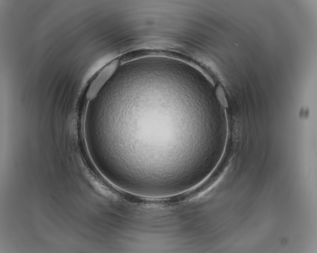 X0000091341114200708171405