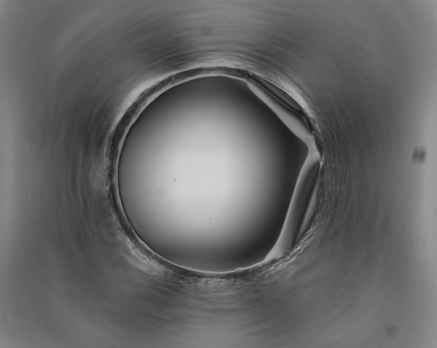 X0000091341116200708171405