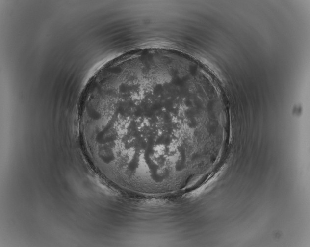 X0000091341117200708171405