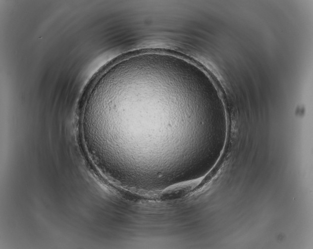 X0000091341119200708171405