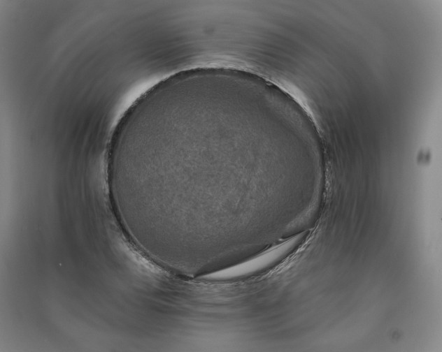 X0000091341120200708171405