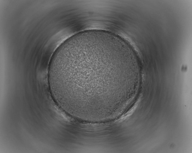 X0000091341121200708171405