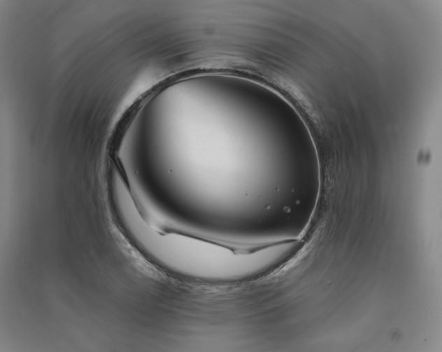 X0000091341122200708171405