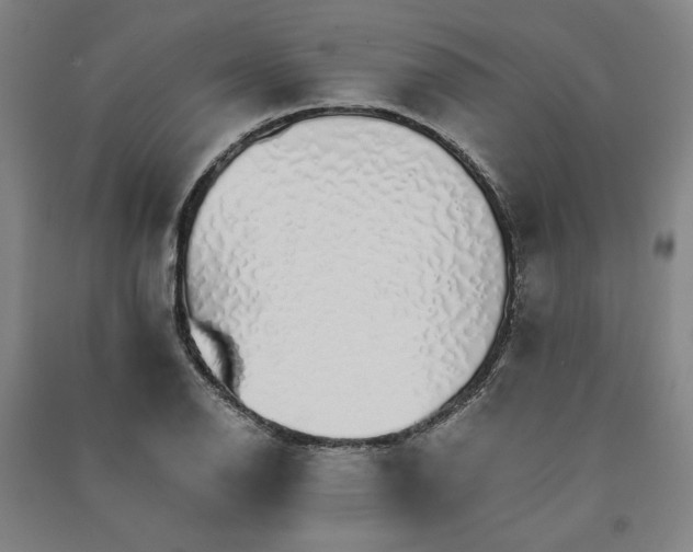 X0000091341126200708171405