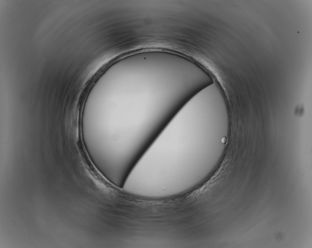 X0000091341127200708171406