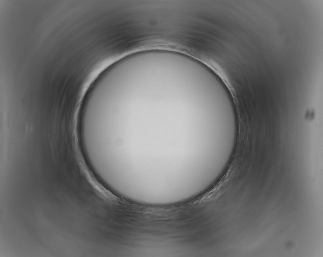 X0000091341128200708171406