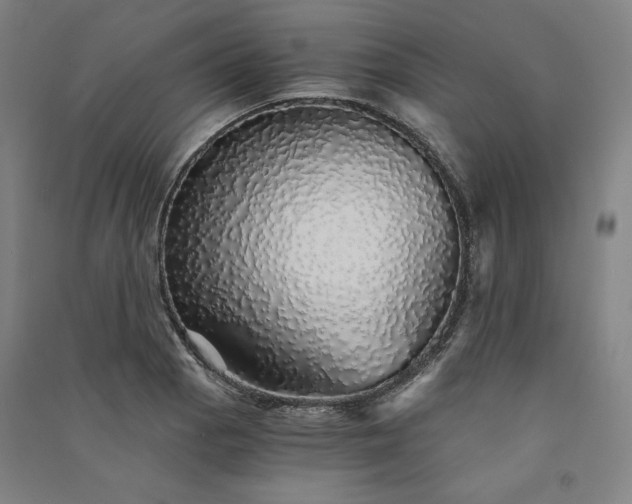 X0000091341129200708171406